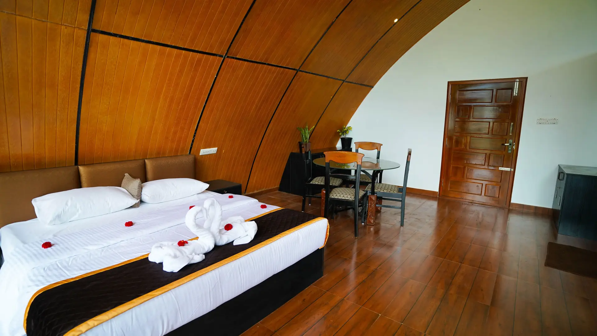 Luxury Shell 2